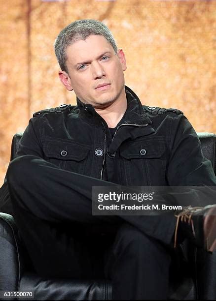 wentworth miller naked|2,172 Wentworth Miller Photos & High